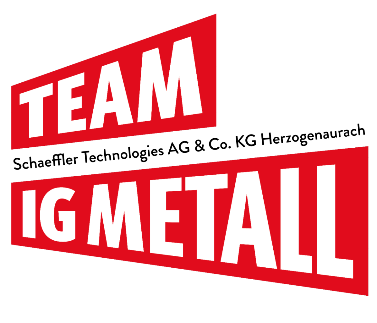 Logo Team IG Metall Schaeffler